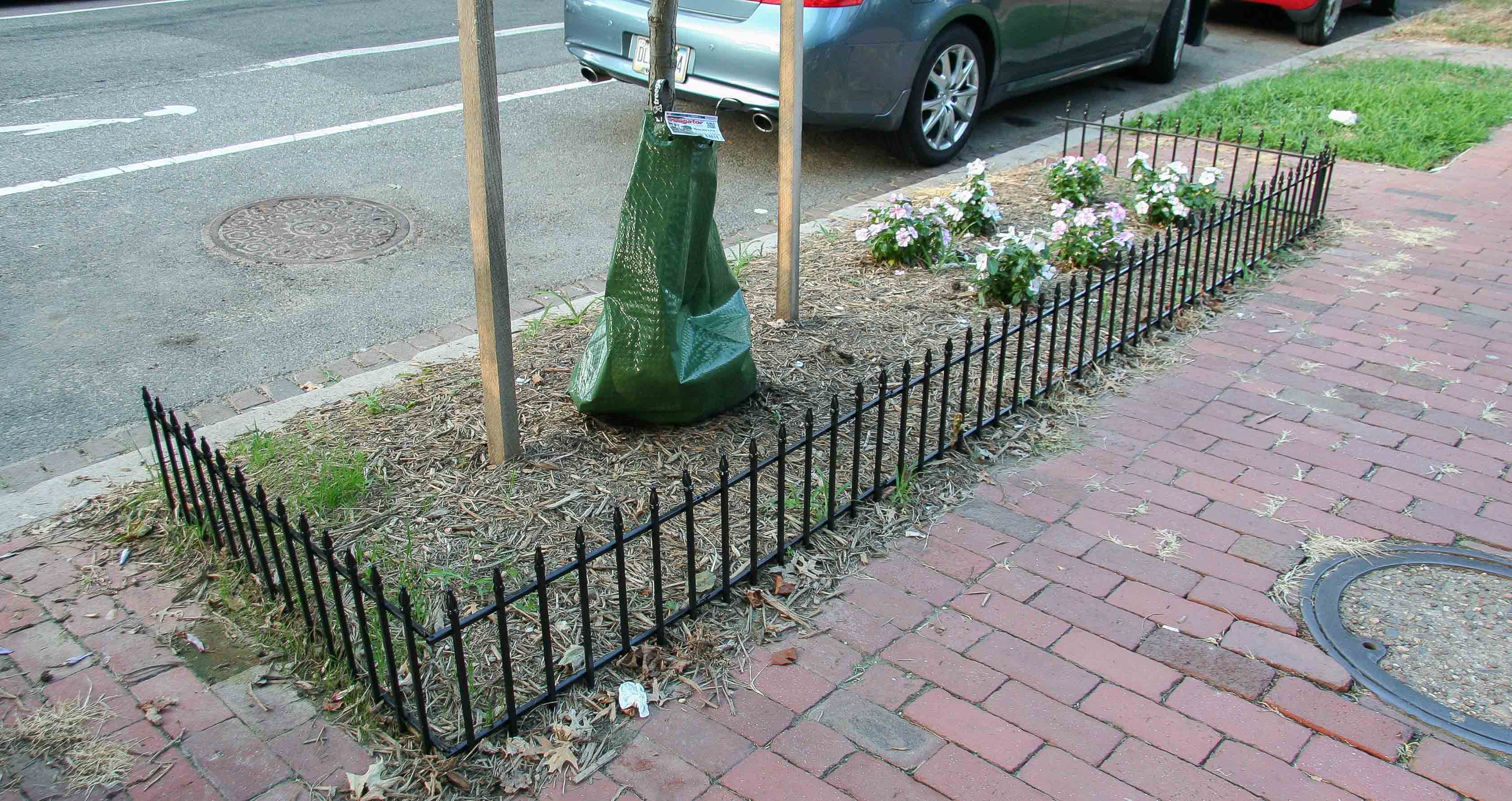 Treebox fence